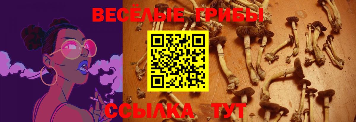 Псилоцибиновые грибы мицелий  Вход с VPN  Омск 